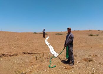 PHOTO-2025-11-03-11-20-54