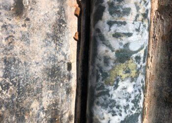 PHOTO-2025-11-03-11-23-25